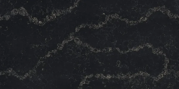 Black Swan